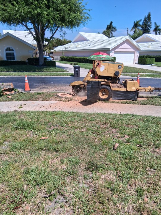 Stump removal Palm Beach County FL