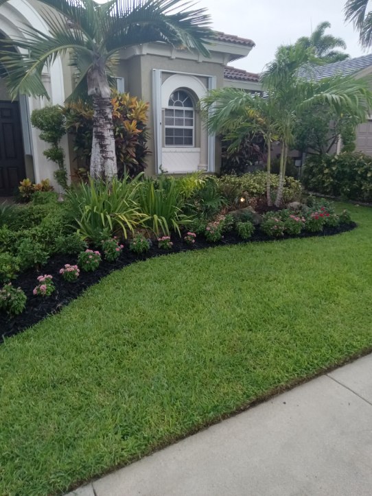 Finished landscaping Palm Beach County